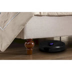 - Cadre de lit classique Windsor avec tête de lit capitonnée à oreilles